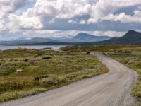 Jotunheimvegen